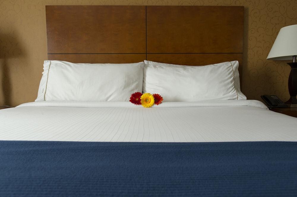 Sandman Hotel & Suites London Downtown Luaran gambar